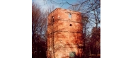 Ruiny huty Waleska (Palowice)